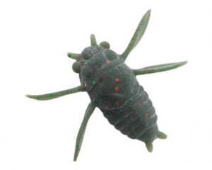 TIEMCO Panic Cicada Tiny | 12 Beetle
