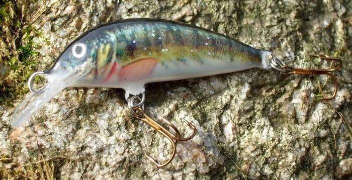 LURE AND FISHING Trout Minnow 40 F