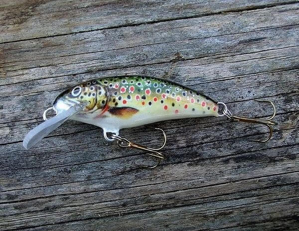 LURE AND FISHING Troutin Shad 45 F
