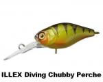 Diving Chubby Perch